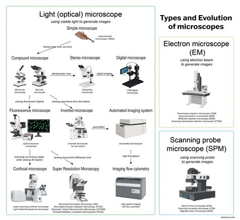 Different types of Microscopes – light microscope, electron microscope, scanning probe ...