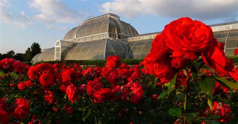 Royal Botanic Gardens Di Kew - toransodok