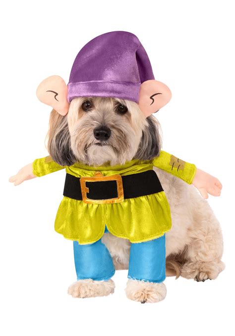 Dopey- Disney Princess Dog Costume