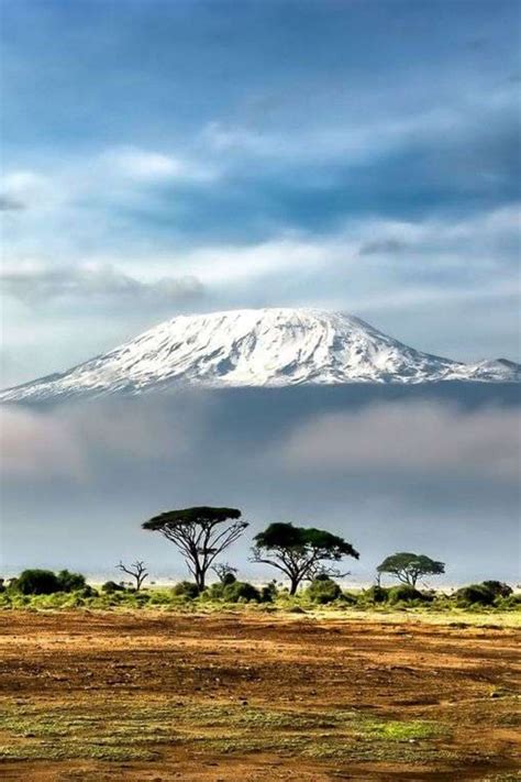 Les neiges du Kilimanjaro vues depuis le Parc National Amboseli, Kenya.