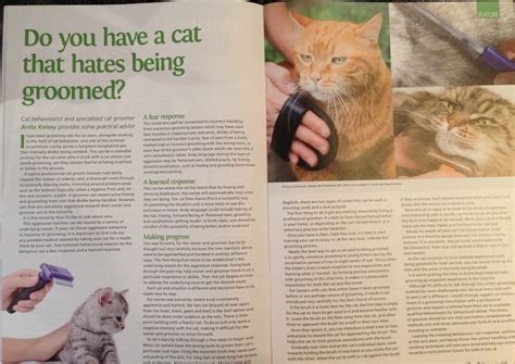 Published articles by Anita Kelsey - UK cat behaviour expert