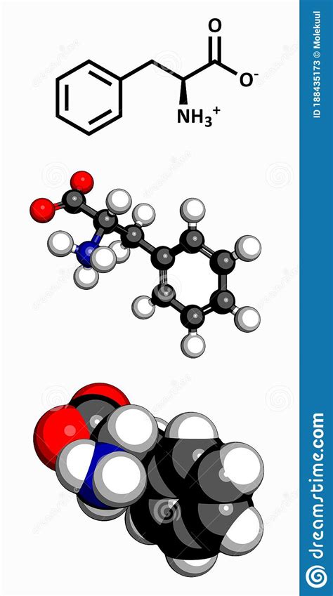 Phenylalanine Phe, F Amino Acid, Molecular Model. Stock Illustration ...