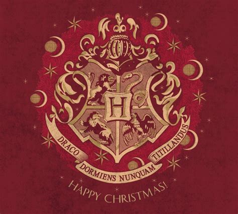 Harry Potter Christmas cards - YouLoveIt.com