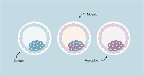 Fertility and IVF Blog | Alife