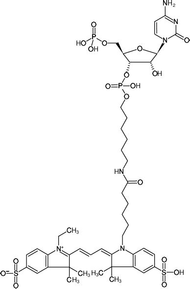 pCp-Cy3, Fluorescent Nucleotides for RNA Labeling - Jena Bioscience