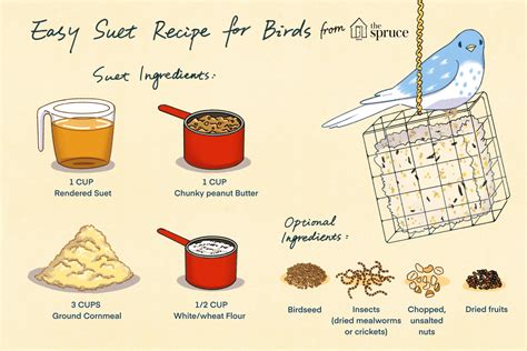 How to Make Homemade Suet for Birds