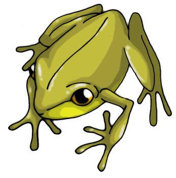 Coqui Frog Drawing | Free download on ClipArtMag