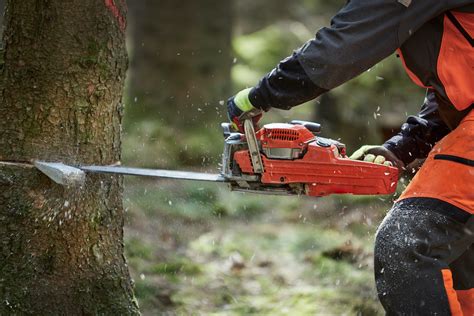 How to Cut Down a Tree With a Chainsaw: Safe and Effective Tips - Power Tool Hacks