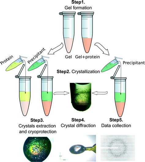 Protein crystallization in short-peptide supramolecular hydrogels: a ...