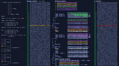 SHA-256 Unmasked: Deciphering Cryptographic Hash Functions - NETWORK ...