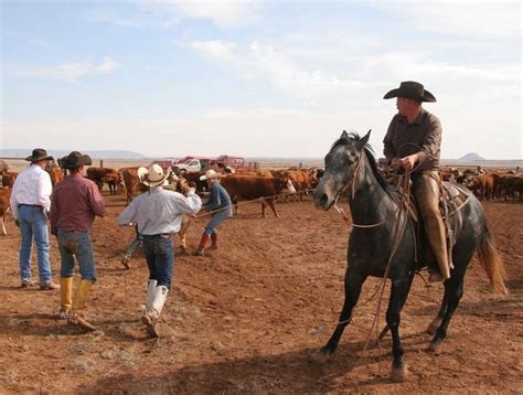 Bell Ranch (New Mexico) - Alchetron, the free social encyclopedia