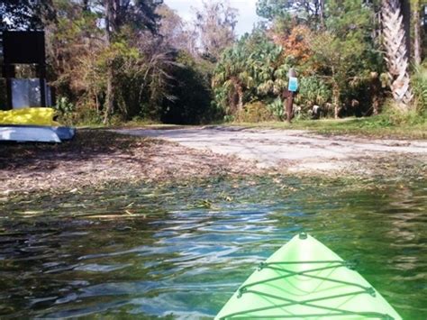 Salt Springs Run Paddling, Ocala National Forest. E-Z Map, Photos.