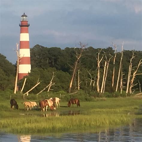 Chincoteague Island Adventures - Eastern Shore of Virginia Tourism Commission