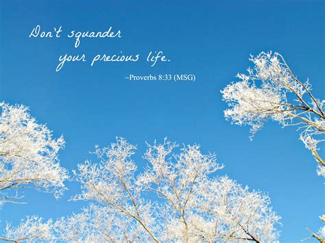 scripture sunday: your precious life - Sandra Heska King