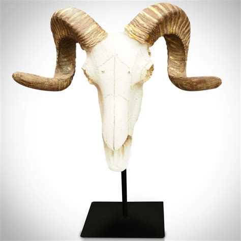 Ram Head // Folk Art Display - RARE-T - Touch of Modern