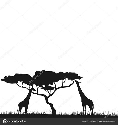 An African safari animal savannah silhouette background. African ...