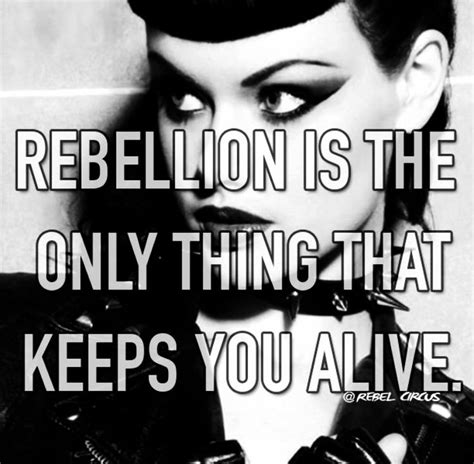 Rebel, Special, Quotes, Movie Posters, Movies, Quotations, Films, Film ...