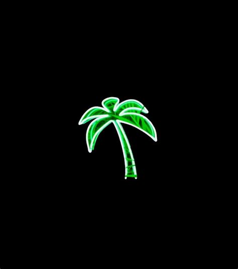 Neon Palm Tree Wallpapers - Top Free Neon Palm Tree Backgrounds - WallpaperAccess