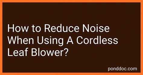 How to Reduce Noise When Using A Cordless Leaf Blower in 2024?