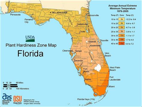 Pin by Dawn Changuit on Gardening | Florida plants, Planting zones, Florida gardening