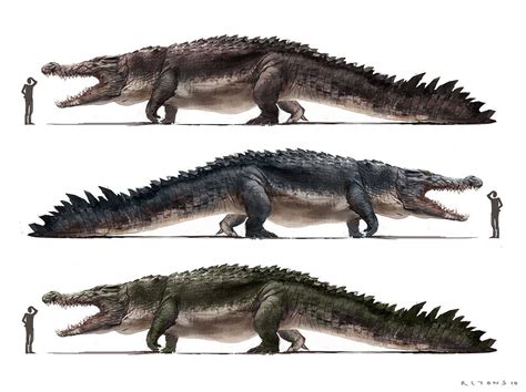 Huge gators | Prehistoric animals, Ancient animals, Extinct animals