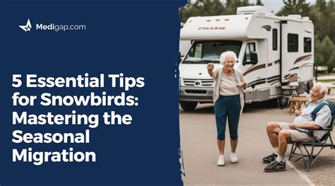 5 Essential Tips for Snowbirds: Mastering the Seasonal Migration | Medigap.com