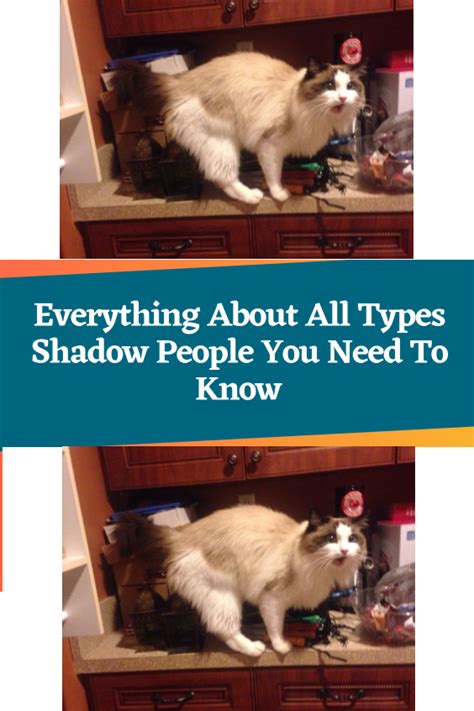 Everything about all types shadow people you need to know – Artofit