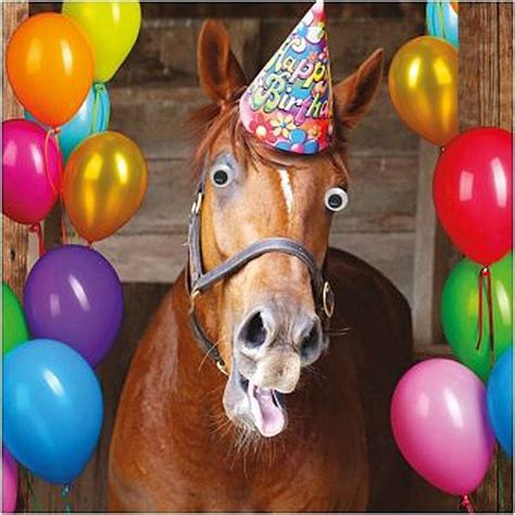 Funny Horse Birthday Card Goggly Moving Eyes, Party Hat & balloons ...