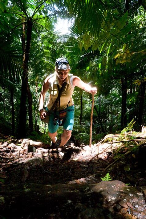 Mount Liamuiga Volcano Hike in St. Kitts | Travel obsession, North ...