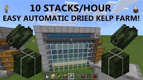 How do you farm kelp in minecraft | Acquaint