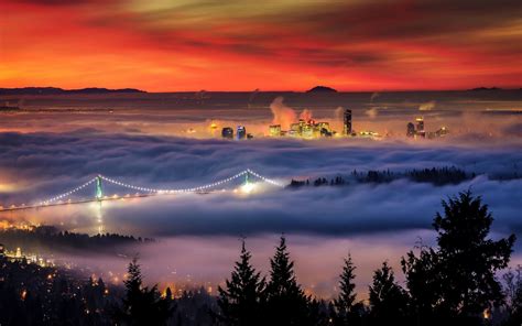 nature, Landscape, Mist, Cityscape, Vancouver, Trees, Bridge, Building ...