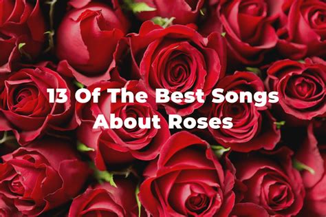 13 Of The Best Songs About Roses