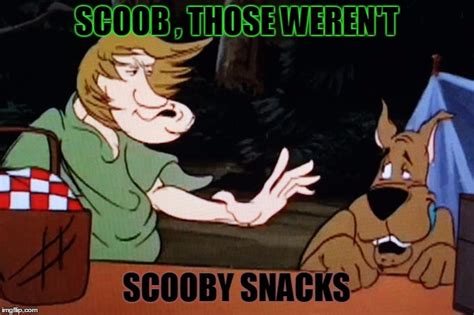 The best shaggy memes :) Memedroid