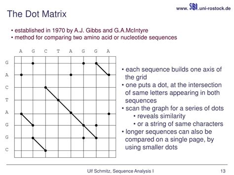 PPT - Bioinformatics Sequence Analysis I PowerPoint Presentation, free download - ID:3747693