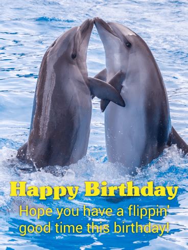 Dolphin Happy Birthday Meme - 50+ Koleksi Gambar