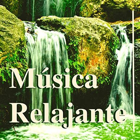 Amazon.com: Música Relajante – Sonidos de la Naturaleza, Música de ...