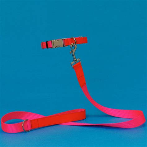 Pink/orange Collar & Leash – Happy, healthy, humane.