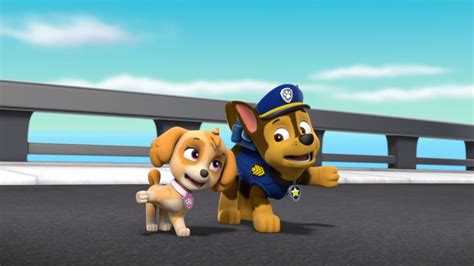 Skye and Chase - PAW Patrol Photo (40131035) - Fanpop