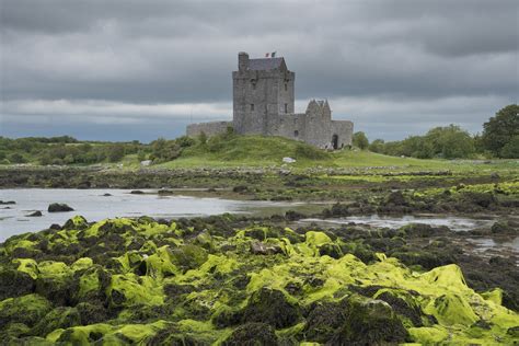 Download free photo of Dunguaire castle,co galway,castle,dunguaire ...