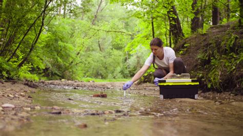 What Can I Do With an Environmental Science Degree? | College of Natural Resources News