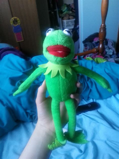 My New Kermit the Frog Plush by KaitlynAnn on DeviantArt