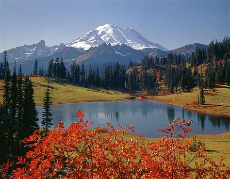 3M4824 Tipsoo Lake and Mt. Rainier H Photograph by Ed Cooper Photography - Fine Art America