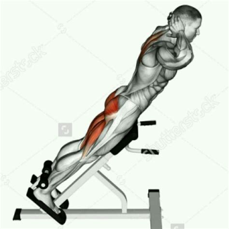 Hyperextension - Exercise How-to - Workout Trainer by Skimble