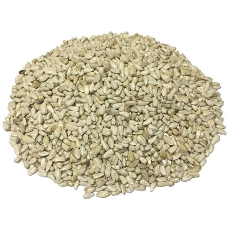 Wagner's 50 lb. Safflower Wild Bird Food-84079 - The Home Depot