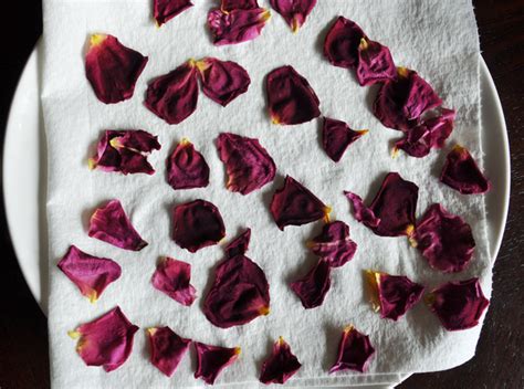 Drying Rose Petals the Right Way - Momtastic.com