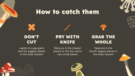 Mushroom Hunting Tips Minitheme