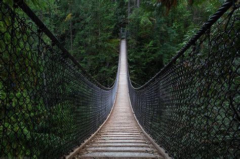 The Lynn Canyon Suspension Bridge