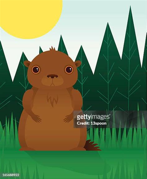 Groundhog Shadow High Res Illustrations - Getty Images