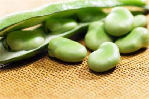 Fava Beans Nutrition Does so much for our Body | Benefits and Uses