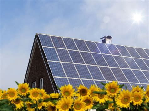 What You Should Know About Solar Panels For Garden And Home | Gardening ...